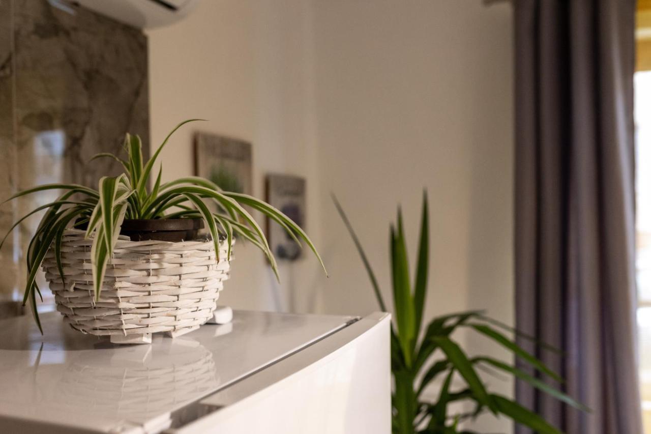 Studio Apartman Planb, Self Check In Osijek Zewnętrze zdjęcie